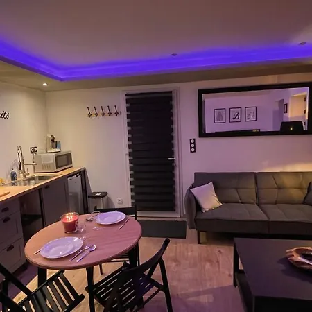 Mille Et Une Nuit, Appartement Classe 3 Etoiles En Rdc Avec Exterieur Et Parking Dole Exterior foto